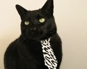 九游娱乐(jiuyou)官网-_猛龙新人崛起，主场逆转胜雷霆_，球员猛龙