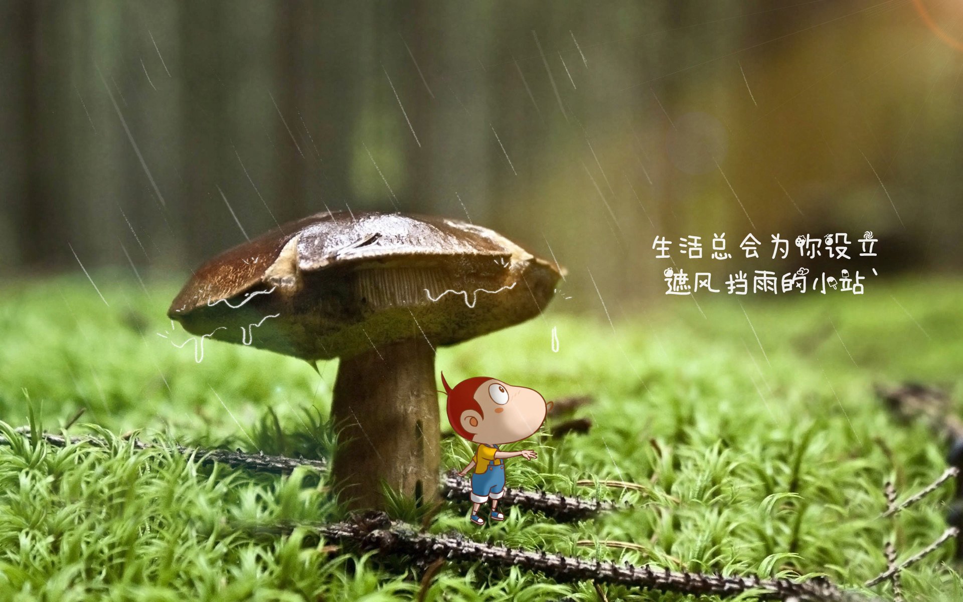 坦克世界年度冠军争夺赛火热开战，坦克大战一触即发
