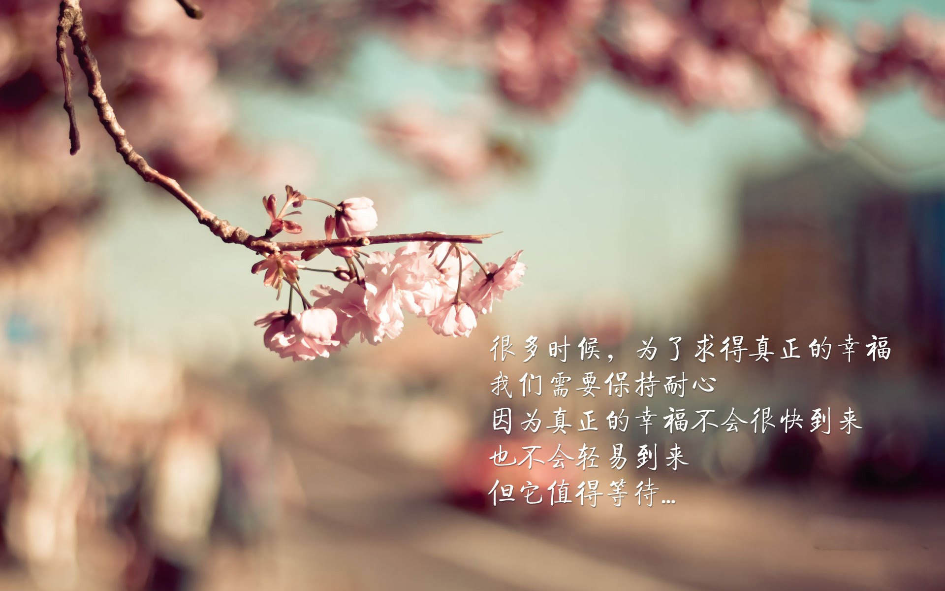 九游电脑版-LCK战队阵容深度增强，lck战队阵容深度增强是什么