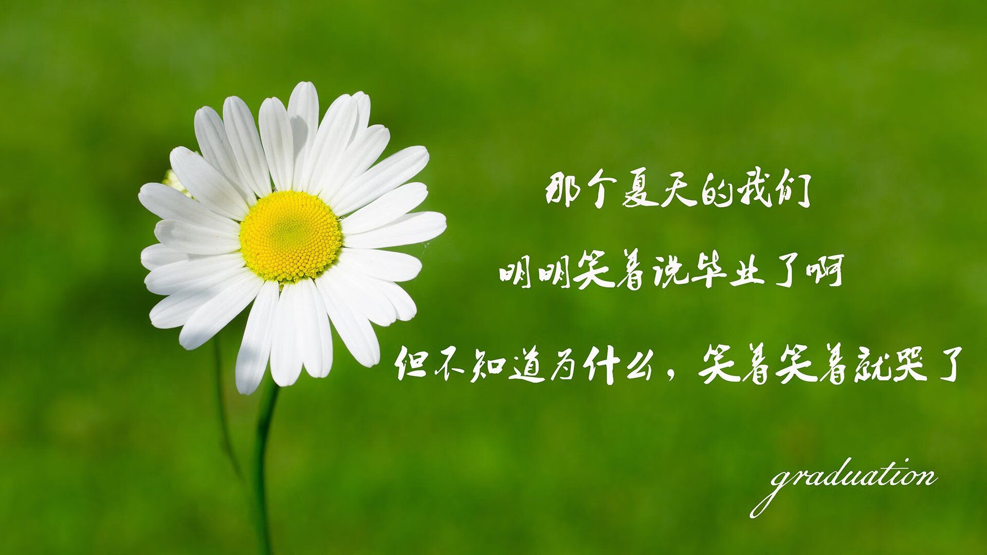 九游9游-国际马德里告负于巴列卡诺，遗憾连败，马德里竞技与巴萨