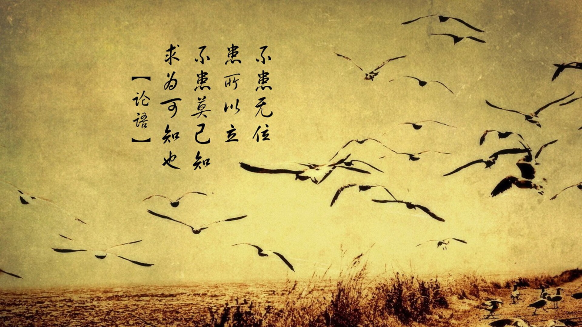 赫塔菲击败对手，喜迎积分，走出低迷局面，赫塔菲队员