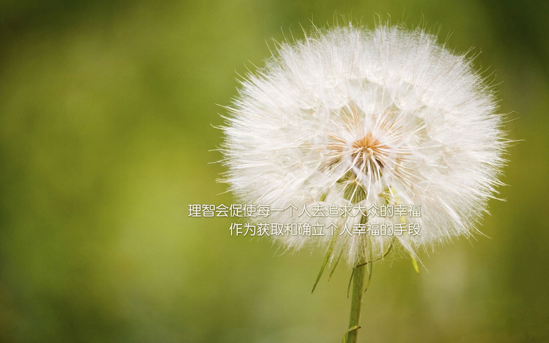 意甲年轻球员防守意识发展趋势研究，意甲最年轻进球