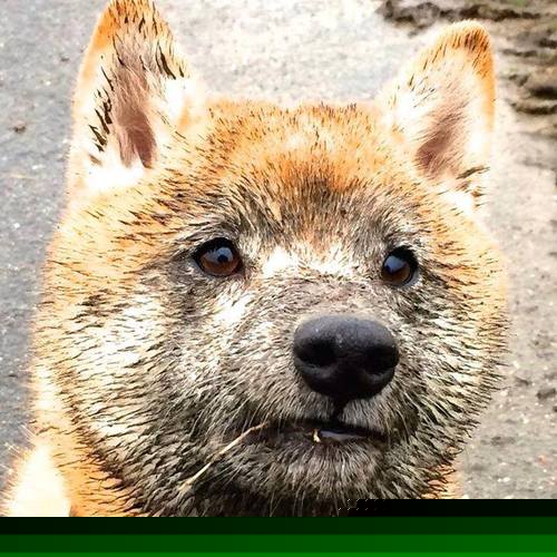 体育媒体新技术应用探讨，新媒体新技术体育课