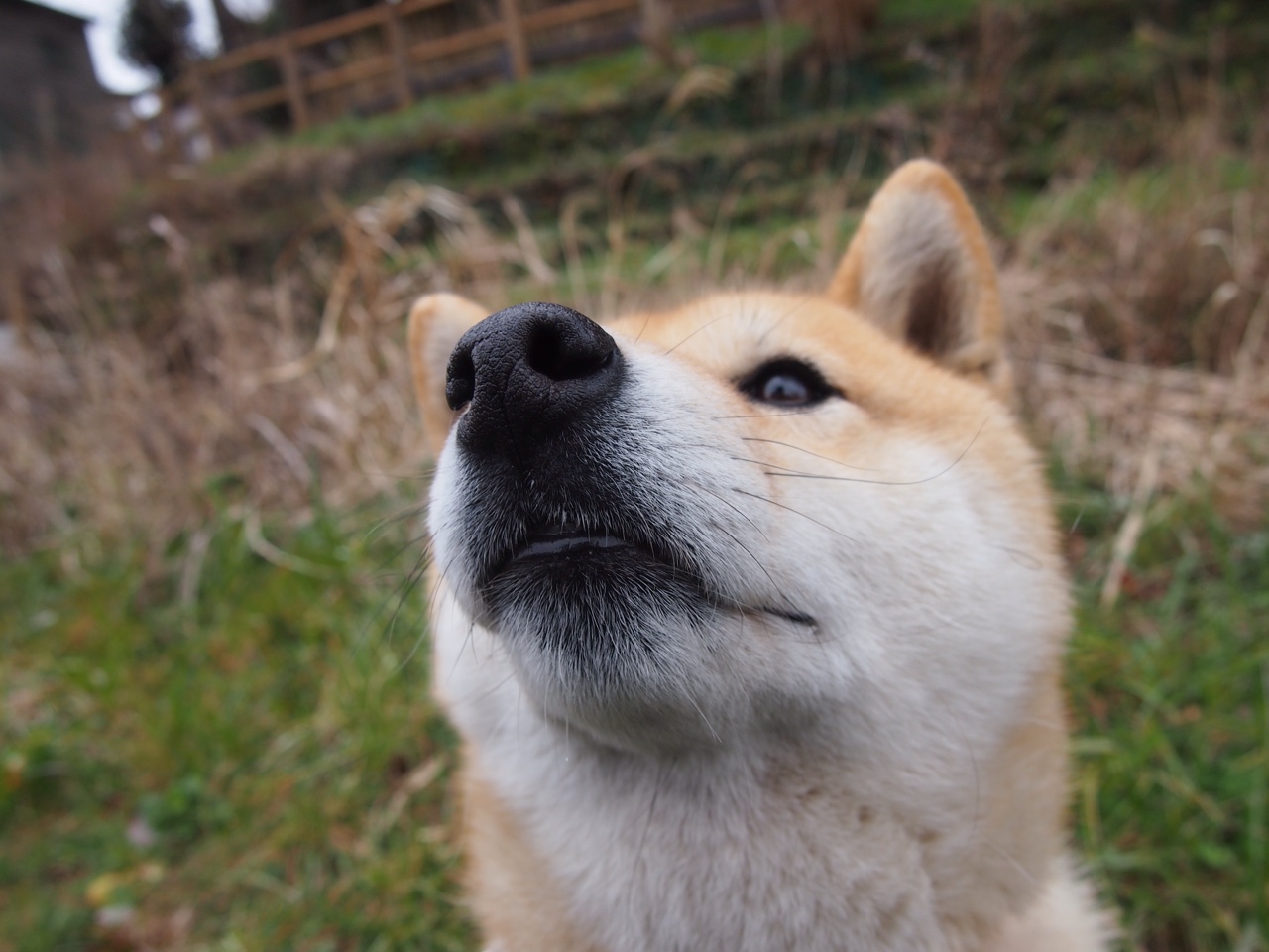 JIU YOU GAME-西甲妙不可言：盘带、射门、救球一一炫技，足球盘带技术最好的是谁