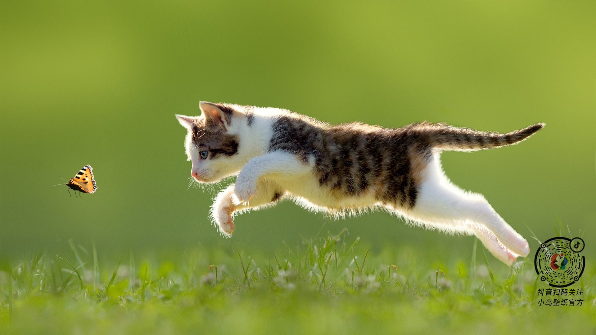 黄蜂突破强敌阻击拉梅洛智商篮球助攻如潮，黄蜂riller