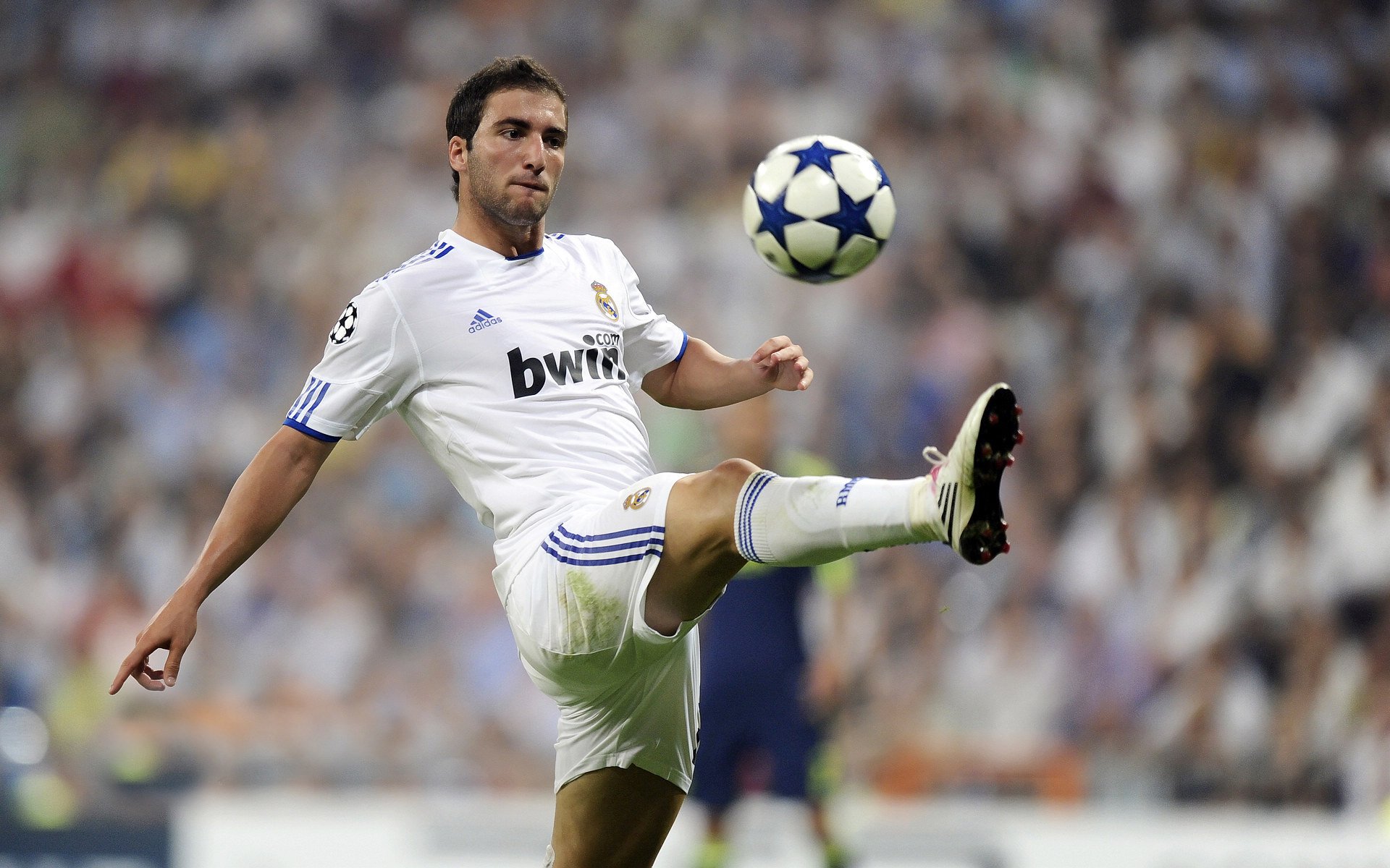 竞争格局：谁将成为2026年的赛场霸主？，竞争格局_谁将成为2026年的赛场霸主呢